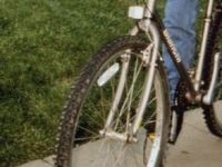 Mi inesperada aventura al Foodmaster