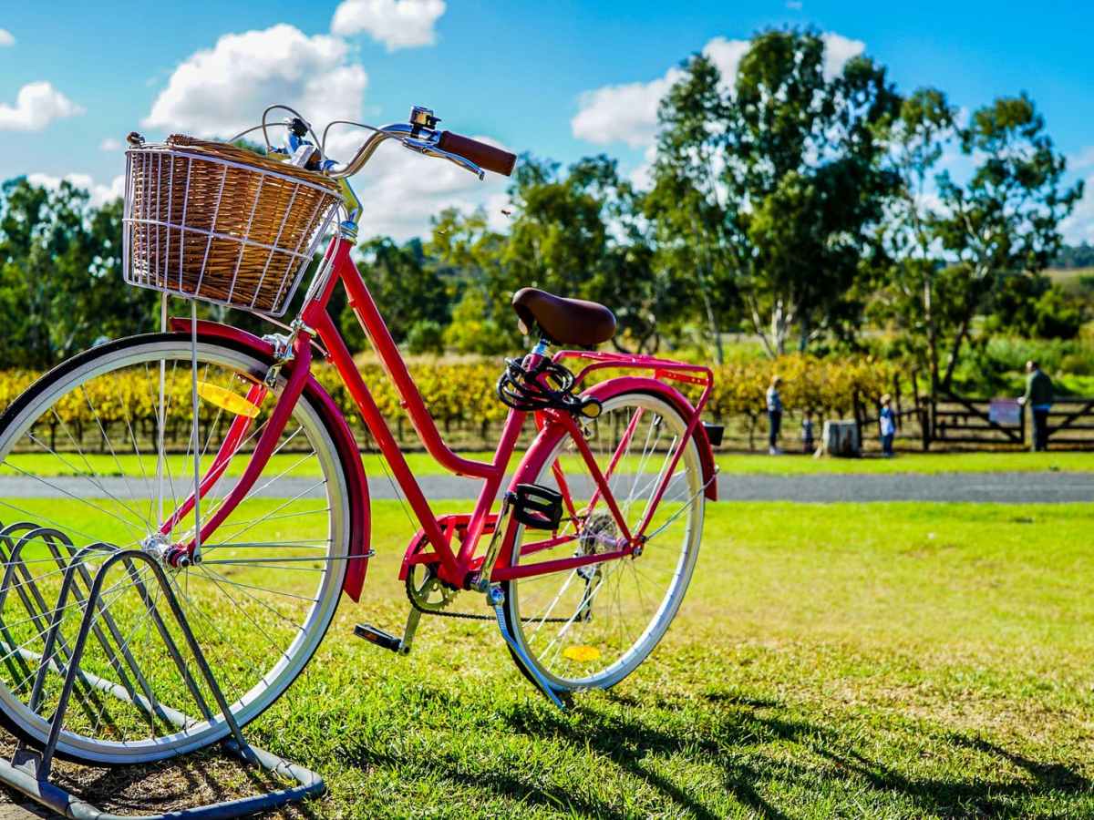 Cómo es la bicicleta