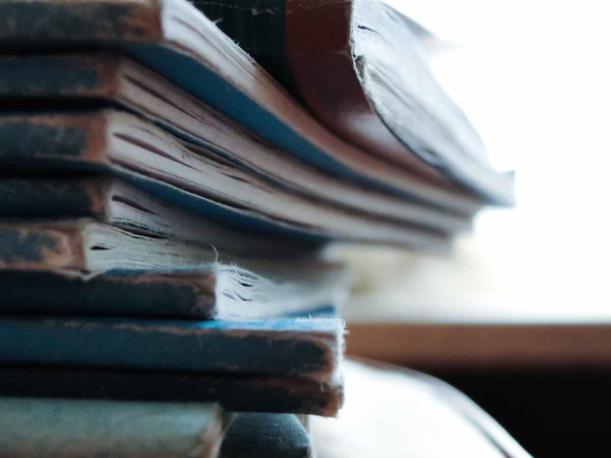 Mi Alegato Post-Visita