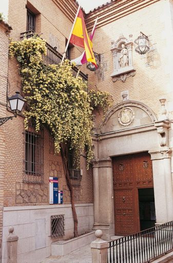 Rosal de la calle Trinidad abril 1999